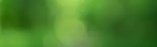 verde ok per eventi