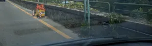 semafori rignano