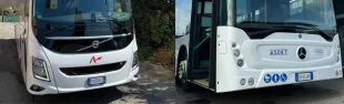 trasporto pubblico su gomma