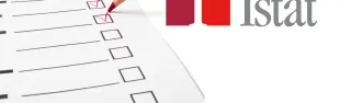 Istat questionario indagine