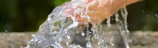 acqua