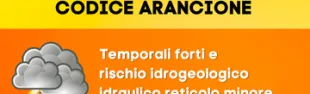 Descrizione immagine non disponibile