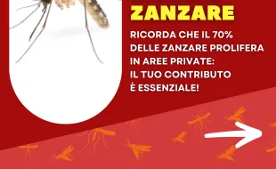 zanzare1