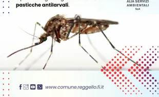 24 maggio kit al mercato