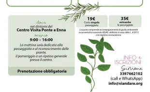 erbe spontanee maggio 2025