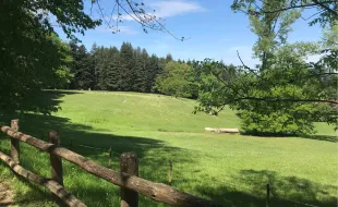 Il Pratone a Vallombrosa