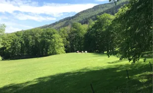 Il Pratone a Vallombrosa