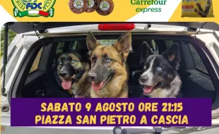 Gran Canaio