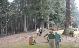 percorso accessibile a Vallombrosa