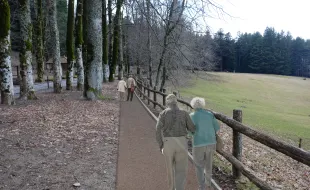 percorso accessibile a Vallombrosa