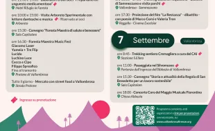 programma foresta maestra 2025