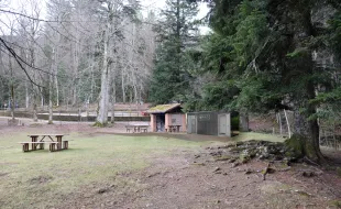 Una Foresta per tutti