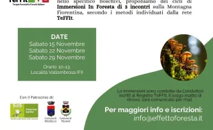 effetto foresta autunno 2025