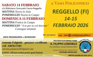 corso potatura olivo reggello