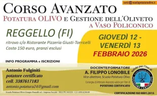 corso potatura olivo reggello