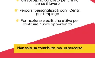 reddito regionale di reinserimento lavorativo