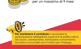 reddito regionale di reinserimento lavorativo
