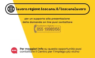 reddito regionale di reinserimento lavorativo