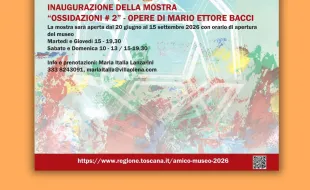 amico museo