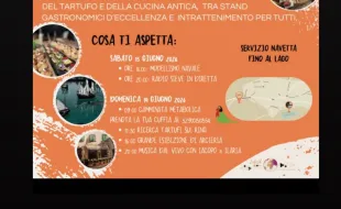 startufando2