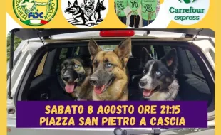 gran canaio 2026
