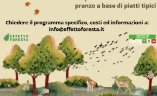 Rigenerarsi in Natura - Effetto Foresta 11 ottobre