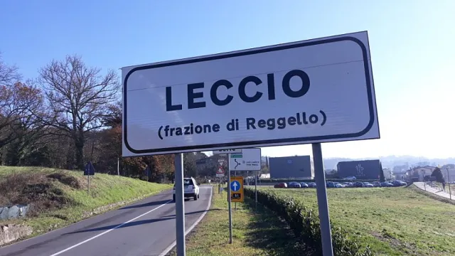 leccio