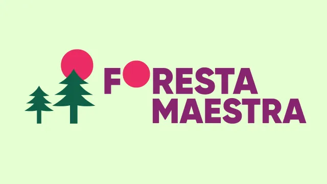 Foresta Maestra 2025 Vallombrosa