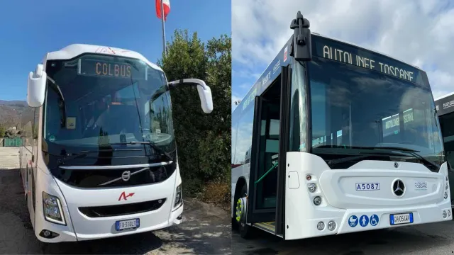 trasporto pubblico su gomma