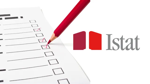 Istat questionario indagine