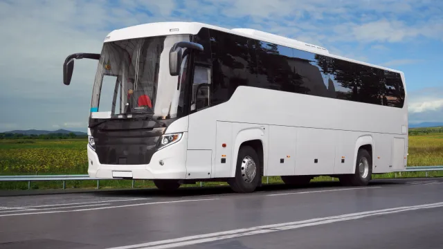 bus