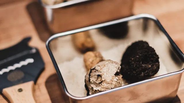 tartufi tartufo