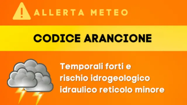 Descrizione immagine non disponibile