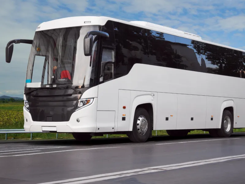 bus