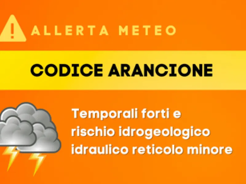 Descrizione immagine non disponibile