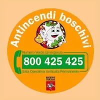 antincendi boschivi