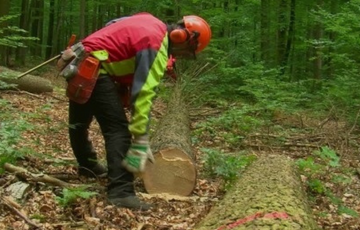 Addetti ai lavori di sistemazione idraulico-forestale e idraulico-agraria”